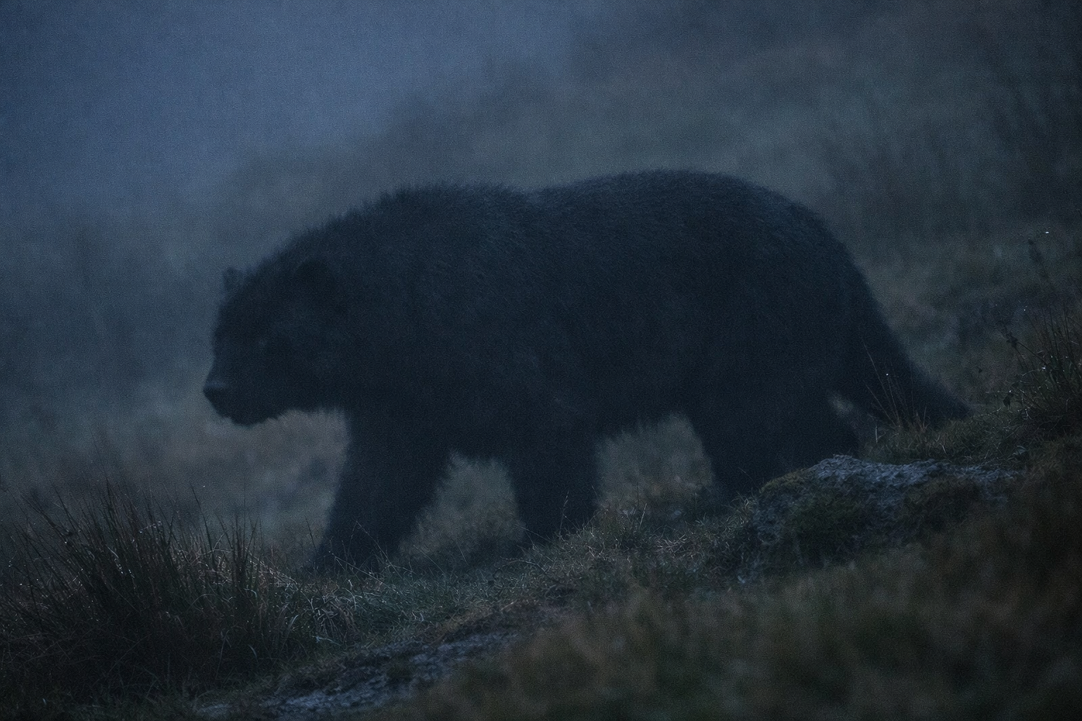 Beast of Brassknocker Hill