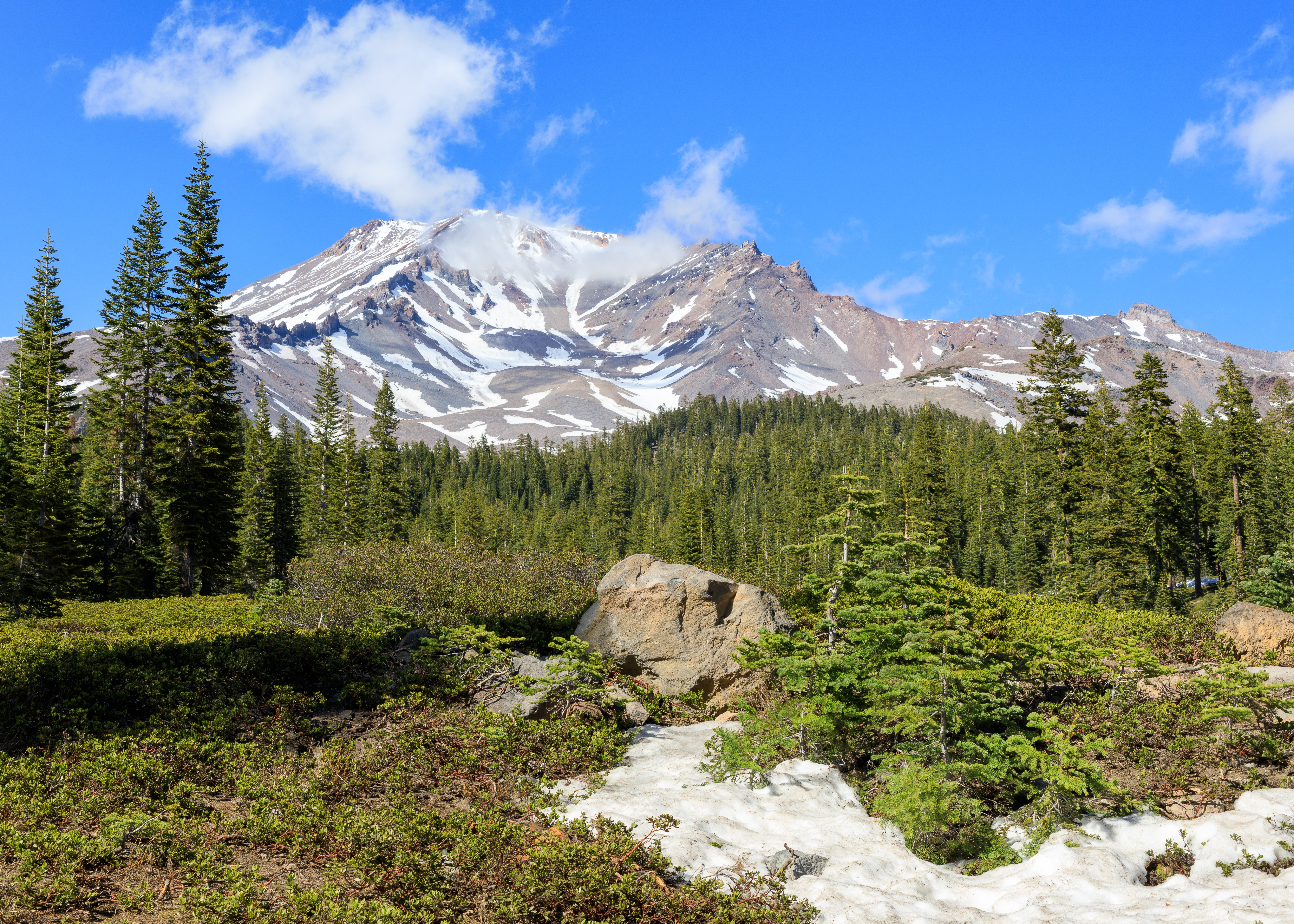 Mount Shasta
